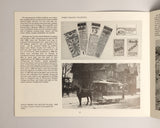 Bloor-Dufferin in Pictures